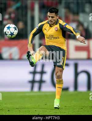 Munich, Allemagne. Feb 15, 2017. Alexis Sanchez d'Arsenal, photographiés au cours de l'UEFA Champions League round 32 match de foot entre FC Bayern Munich et Arsenal FC Londres à l'Allianz Arena de Munich, Allemagne, 15 février 2017. - Pas de service de fil - Photo : Thomas Eisenhuth/dpa-Zentralbild/ZB/dpa/Alamy Live News Banque D'Images