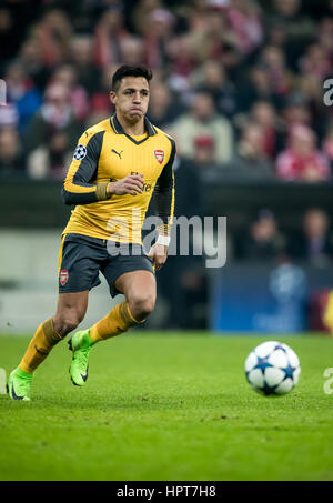 Munich, Allemagne. Feb 15, 2017. Alexis Sanchez d'Arsenal, photographiés au cours de l'UEFA Champions League round 32 match de foot entre FC Bayern Munich et Arsenal FC Londres à l'Allianz Arena de Munich, Allemagne, 15 février 2017. - Pas de service de fil - Photo : Thomas Eisenhuth/dpa-Zentralbild/ZB/dpa/Alamy Live News Banque D'Images