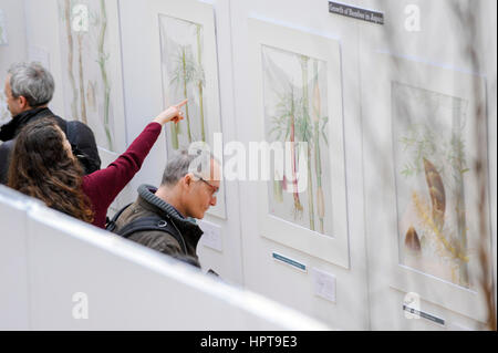 Londres, Royaume-Uni. Feb 24, 2017. Les membres du public voir le travail de certains des meilleurs artistes botaniques à travers un écran de travail inédites à la RHS London Botanical Art Show. Lieu ce week-end, le spectacle présente des artistes du Royaume-Uni et à l'étranger, y compris les États-Unis, l'Italie, le Japon, la Nouvelle-Zélande et la Corée du Sud. Crédit : Stephen Chung/Alamy Live News Banque D'Images