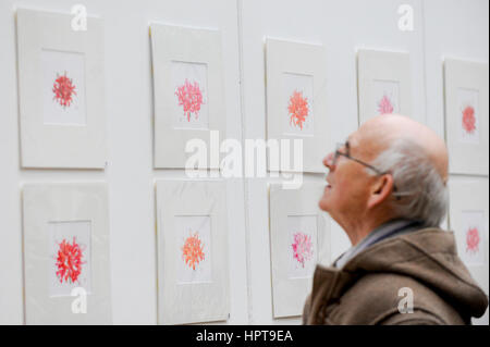 Londres, Royaume-Uni. Feb 24, 2017. Les membres du public voir le travail de certains des meilleurs artistes botaniques à travers un écran de travail inédites à la RHS London Botanical Art Show. Lieu ce week-end, le spectacle présente des artistes du Royaume-Uni et à l'étranger, y compris les États-Unis, l'Italie, le Japon, la Nouvelle-Zélande et la Corée du Sud. Crédit : Stephen Chung/Alamy Live News Banque D'Images