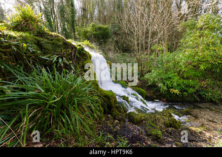 Littlebredy, Dorset, UK. Feb 24, 2017. Météo britannique. L'après-midi au soleil glorieux Maison Bridehead cascades à Littlebredy dans le Dorset. Maison Littlebredy Bridehead jardins à l'est l'endroit fictif d'Axhampton maison qui dispose en série 3 de la série à succès d'ITV Broadchurch qui revient sur les écrans le lundi 27 février. Credit : Graham Hunt/Alamy Live News Banque D'Images