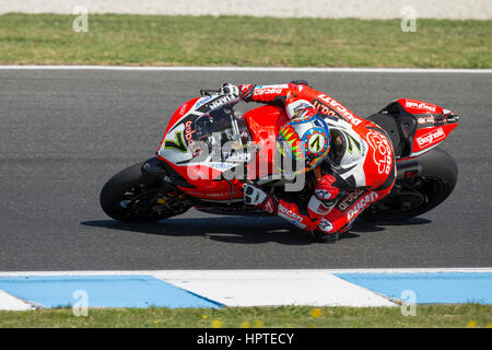 Phillip Island, Australie. Samedi, 25 février, 2017. La race 1. Chaz Davies, Aruba.it Ducati Superbike mondial. Davies a terminé la course en deuxième place. Credit : Russell Hunter/Alamy Live News Banque D'Images