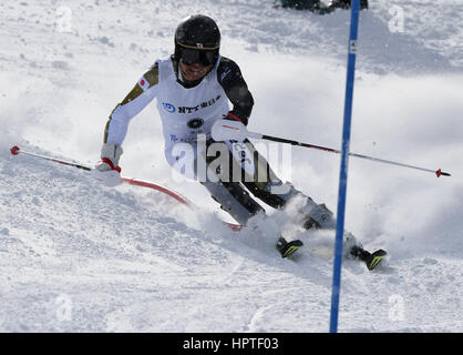 Sapporo, Japon. Feb 25, 2017. Hideyuki Narita du Japon fait concurrence au cours du slalom de ski alpin à la Sapporo 2017 Jeux Asiatiques d'hiver à Sapporo, Japon, le 25 février 2017. Il Crédit : Summer Palace/Xinhua/Alamy Live News Banque D'Images