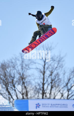 Hokkaido, Japon. Feb 25, 2017. Jiayu Liu (CHN) : snowboard halfpipe de la femme au cours de la 2017 Jeux Asiatiques d'hiver de Sapporo à Bankei Ski Park à Hokkaido, Japon . Credit : AFLO SPORT/Alamy Live News Banque D'Images