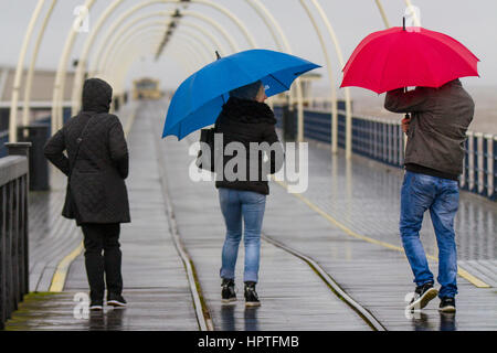 Southport, Merseyside, Royaume-Uni. Météo. 25 Février, 2017. Froid, humide et venteux pour le tourisme étranger marche sur la jetée de Southport. Digue de remplissage février être il noir ou blanc c'est ; mais si c'est blanc, c'est le moyen le plus à aimer. En dépit de conditions, les promeneurs sur la jetée à la fois de la Chine et la Pologne, ont été bravant les éléments pour parvenir à la fin de la 2ème plus longue jetée en Angleterre. /AlamyLiveNews MediaWorldImages Crédit : Banque D'Images