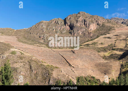 Le Pérou, les Andes, Valle Sagrado, ruines Incas de Pisac, terrasses de Andenes Banque D'Images