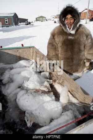 Inuits au Canada sont la chasse pour la fourrure Banque D'Images