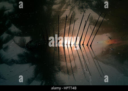 Les rayons Banque D'Images