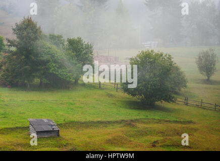 Du brouillard en campagne avec de vertes collines et arbres Banque D'Images