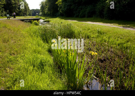 L'Europe, l'Allemagne, Duisbourg, le renaturated la rivière Emscher à Duisburg-Nord Country Park Banque D'Images