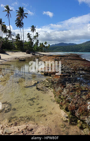 Un tir vertical d'une plage de sable plage des Caraïbes avec un petit récif, palmiers, verdure et collines en arrière-plan. Rincon Beach, Dominican Republic Banque D'Images