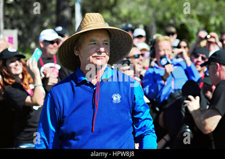 Acteur et comédien Bill Murray portant un grand chapeau de paille lors de l'AT&T Pebble Beach National Pro-Am Golf Tournament le 13 février 2016 à Monterey, Californie. Banque D'Images