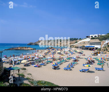 Vue sur la plage, Cala Comte, Ibiza, Baléares, Espagne Banque D'Images