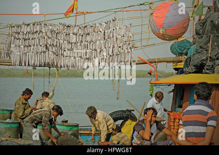 Gujarati pêcheurs de port avec leurs prises d'être séchés au soleil sur des supports avant vente au marché de poissons local Banque D'Images