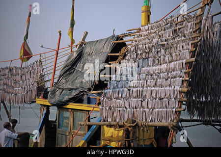 Gujarati pêcheurs de port avec leurs prises d'être séchés au soleil sur des supports avant vente au marché de poissons local Banque D'Images