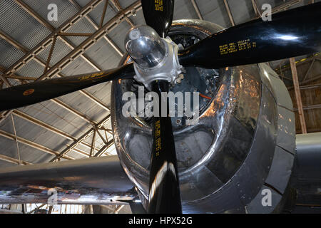 Le B29 Superfortress 'FiFi' en cours de maintenance hors saison au Vintage Flying Museum. FiFi est un des 2 flying B29s vers la gauche. Banque D'Images