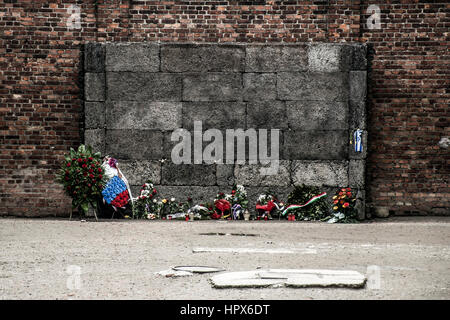 Bloc 10 mur d'exécution au camp de concentration Auschwitz Birkenau KZ Pologne 2 Banque D'Images