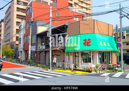 Fleuriste local et maisons de ville dans Uenosakuragi Taito-ku Tokyo JAPON Banque D'Images