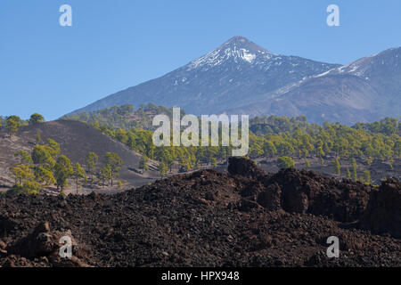 Parc National de Teide. Randonnées sur Tenerife. Connu pour sa nature unique et des paysages contrastés. L'imposant Teide, denses nuages Passat bleu vif, Banque D'Images