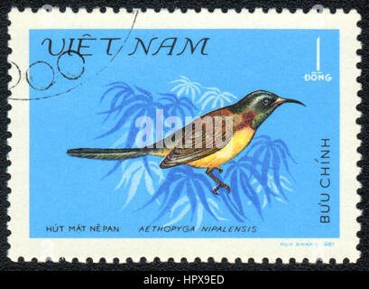 Un timbre-poste imprimé au Vietnam montre un oiseau Souimanga à queue verte (Aethopyga Nipalensis), à partir de la série Asian petit oiseau, 1981 Banque D'Images