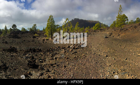 Parc National de Teide. Randonnées sur Tenerife. Connu pour sa nature unique et des paysages contrastés. L'imposant Teide, denses nuages Passat bleu vif, Banque D'Images