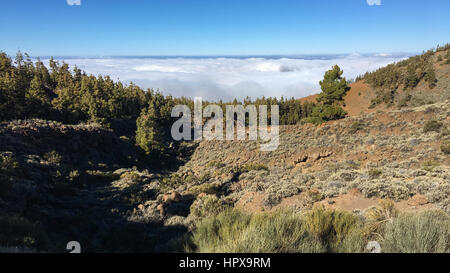 Parc National de Teide. Randonnées sur Tenerife. Connu pour sa nature unique et des paysages contrastés. L'imposant Teide, denses nuages Passat bleu vif, Banque D'Images