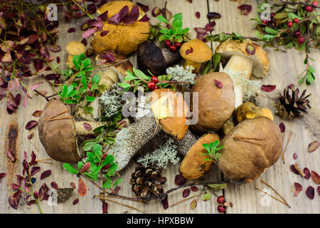 Un tas de champignons sauvages avec des canneberges sur un bureau en bois Banque D'Images