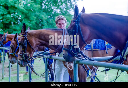 Kerry Packer-parrainé un tournoi de polo à Cowdray Park, près de Easebourne, Midhurst dans West Sussex : garçons prendre soin des chevaux. Banque D'Images