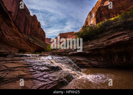 Petite Cascade dans la région de Coyote Gulch Grand Staircase Escalante National Monument Utah USA Banque D'Images