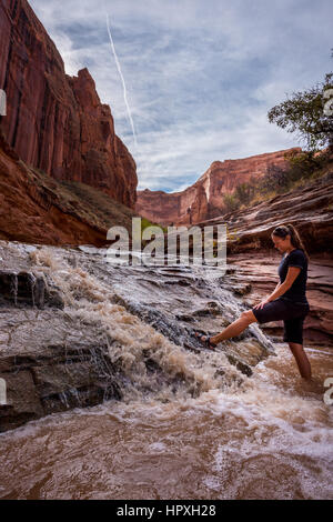 Petite Cascade dans la région de Coyote Gulch Grand Staircase Escalante National Monument Utah USA Banque D'Images