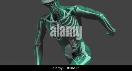 L'anatomie humaine avec les muscles et squelette Visible Art Banque D'Images