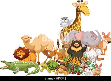 Différents types d'animaux sauvages ensemble illustration Illustration de Vecteur