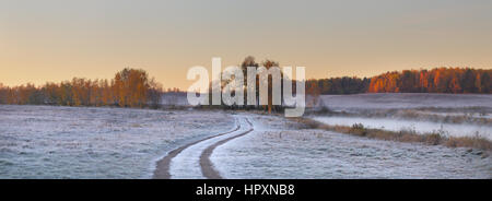 Route de campagne champ neigeux. L'aube d'hiver lumineux. Le givre blanc sur le sol. Matin d'hiver paysage. Banque D'Images
