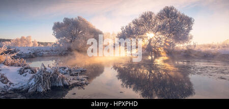 Arbres d'hiver glacial illuminée par le soleil levant Banque D'Images