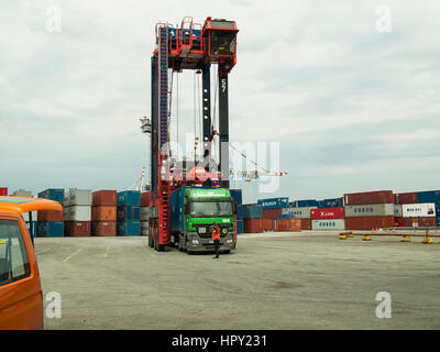 L'expédition des conteneurs au terminal à conteneurs CTT Tollerort dans le port de Hambourg, Allemagne. Banque D'Images