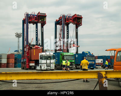 L'expédition des conteneurs au terminal à conteneurs CTT Tollerort dans le port de Hambourg, Allemagne. Banque D'Images