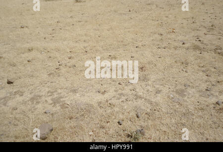 Terres stériles Banque D'Images