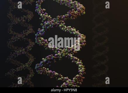 Schéma de la molécule d'ADN séquencé atomes dans threads 3D render Banque D'Images