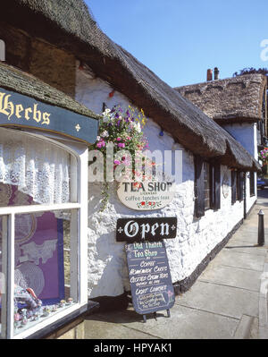 The Old Thatch magasin de thé, Vieille Ville, Shanklin, Isle of Wight, Angleterre, Royaume-Uni Banque D'Images