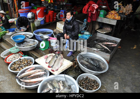 SAPA, Vietnam - 22 février 2013 : la vente de poissons et fruits de mer frais dans le marché rural de Sapa, Vietnam du Nord Banque D'Images