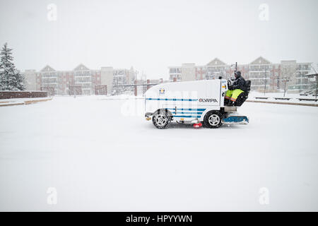 Nettoyage de véhicules Zamboni neige sur une patinoire extérieure et de dumping dans un tas de neige Banque D'Images