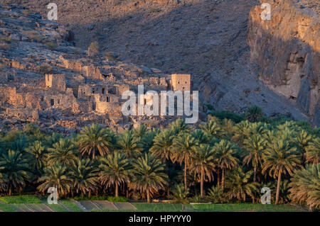 Bâtiments et palmiers dans le wadi shams Oman Banque D'Images