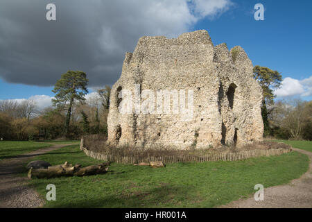 Odiham Castle ou King John's Castle dans le Hampshire, au Royaume-Uni Banque D'Images