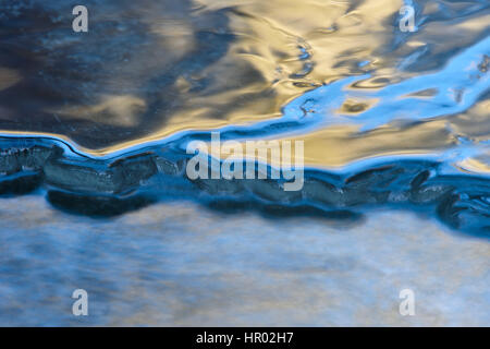 Réfléchissant la lumière de glace, rivière source Warme Bode près de Braunlage, Basse-Saxe, Allemagne Banque D'Images