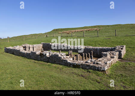 Mur d'Hadrien : les vestiges de l'Brocilitia (Carrawburgh Mithraeum près de fort romain), Northumberland Banque D'Images