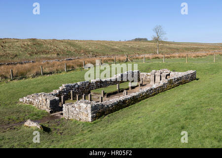 Mur d'Hadrien : les vestiges de l'Brocilitia (Carrawburgh Mithraeum près de fort romain), Northumberland Banque D'Images