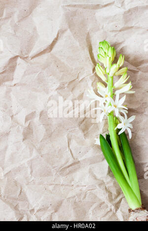 Jacinthe fleurs papier Kraft froissé, texture background close-up. Grunge vieille surface de papier, style rustique. Pour motif romantique moderne, le papier peint ou ba Banque D'Images