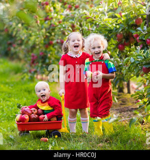 Les enfants la cueillette des pommes dans le jardin de fruits. Fille, garçon et bébé jouer dans apple tree orchard. Les enfants cueillir des fruits en automne avec une brouette. Peu d'agriculteurs Banque D'Images