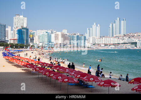 Busan, Corée du Sud - 22 août 2014 : l'avis de Haeundae Beach L'une des plages populaires de Busan Metropolitan City, le plus grand port de la Corée du Sud Banque D'Images