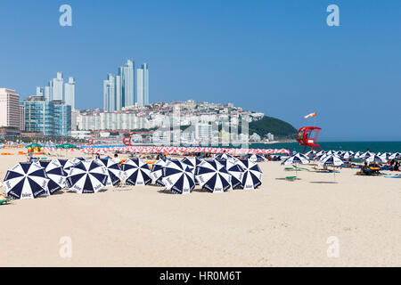 Busan, Corée du Sud - 22 août 2014 : l'avis de Haeundae Beach L'une des plages populaires de Busan Metropolitan City, le plus grand port de la Corée du Sud Banque D'Images